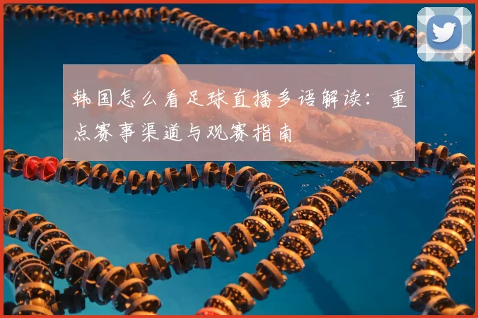 韩国怎么看足球直播多语解读：重点赛事渠道与观赛指南