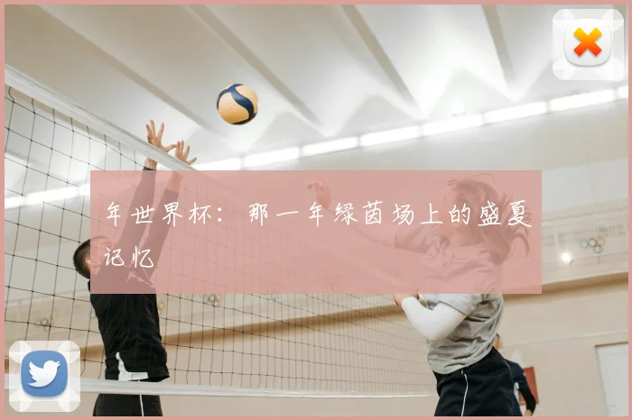 年世界杯：那一年绿茵场上的盛夏记忆