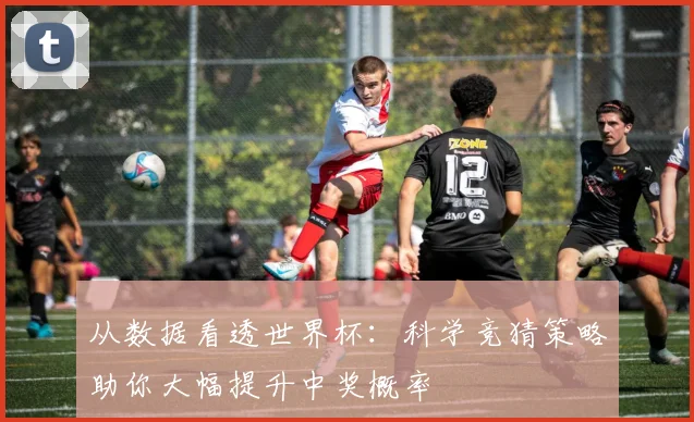 从数据看透世界杯：科学竞猜策略助你大幅提升中奖概率