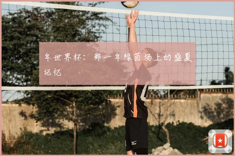 年世界杯：那一年绿茵场上的盛夏记忆