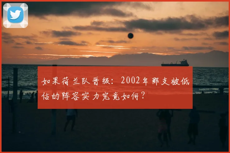 如果荷兰队晋级:2002年那支被低估的阵容实力究竟如何?