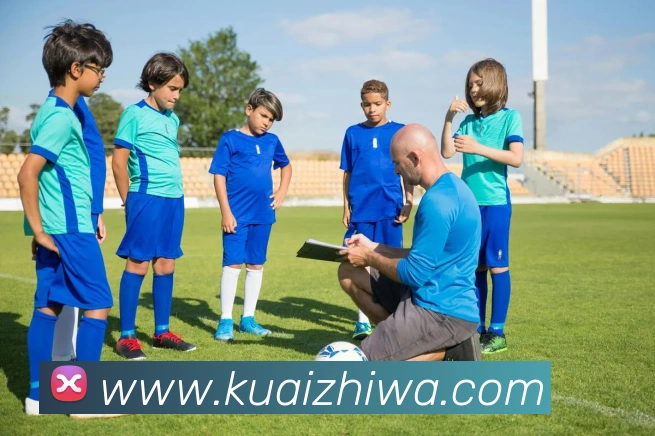 开云手机在线登录界面平台生态图